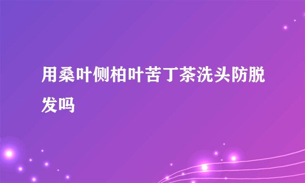 用桑叶侧柏叶苦丁茶洗头防脱发吗