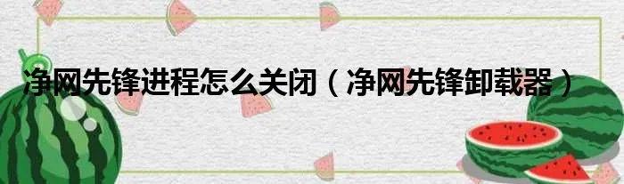净网先锋进程怎么关闭（净网先锋卸载器）