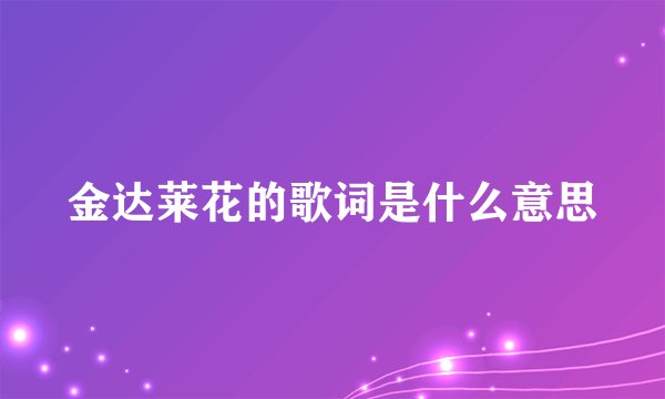 金达莱花的歌词是什么意思