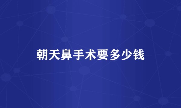 朝天鼻手术要多少钱