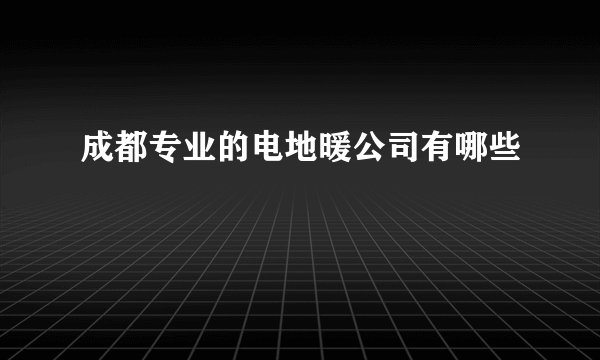 成都专业的电地暖公司有哪些