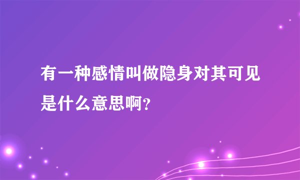 有一种感情叫做隐身对其可见是什么意思啊？