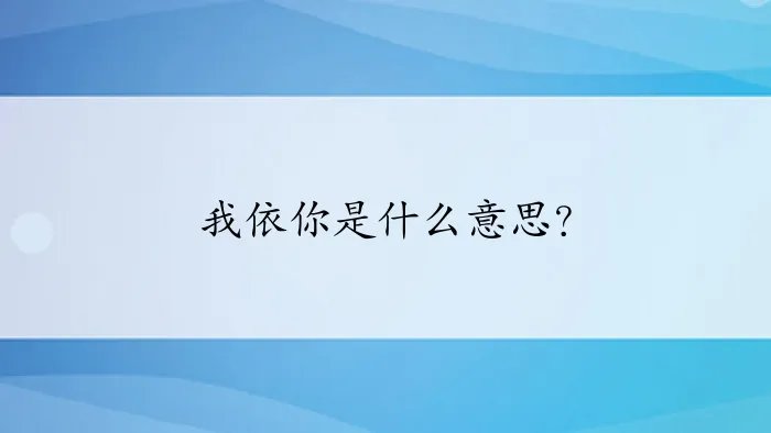 我依你是什么意思？