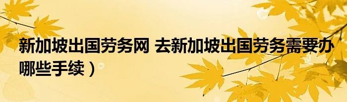 新加坡出国劳务网 去新加坡出国劳务需要办哪些手续)