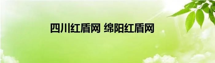 四川红盾网 绵阳红盾网