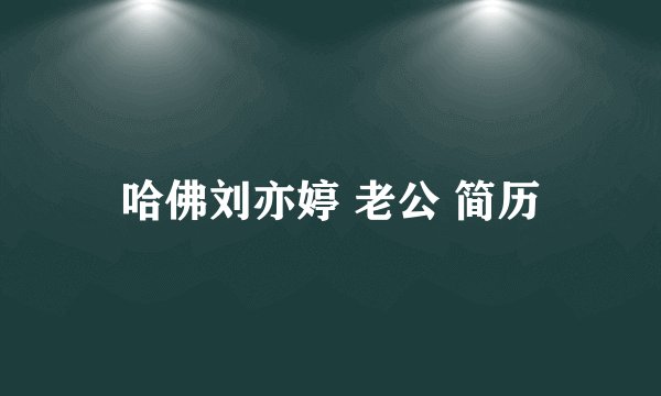 哈佛刘亦婷 老公 简历