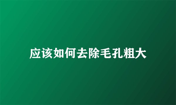 应该如何去除毛孔粗大