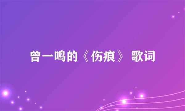 曾一鸣的《伤痕》 歌词