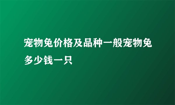 宠物兔价格及品种一般宠物兔多少钱一只