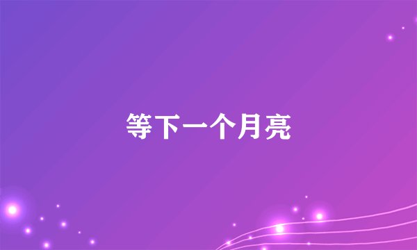 等下一个月亮