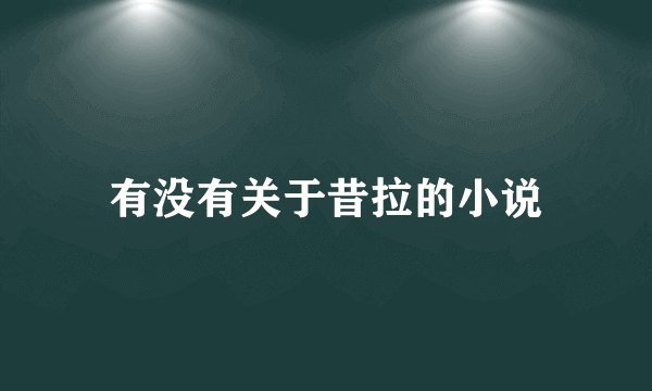 有没有关于昔拉的小说