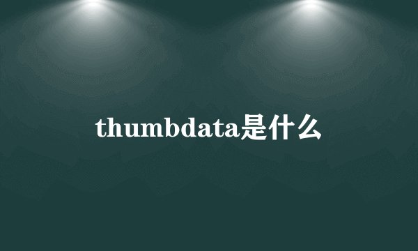 thumbdata是什么
