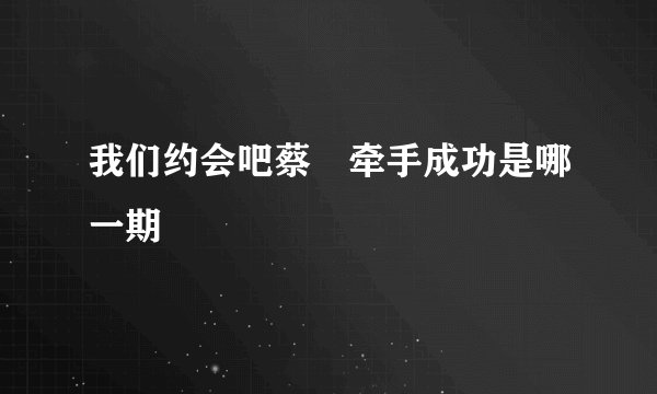 我们约会吧蔡旸牵手成功是哪一期