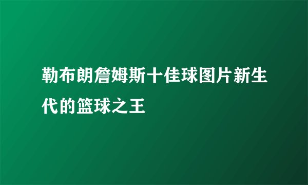 勒布朗詹姆斯十佳球图片新生代的篮球之王