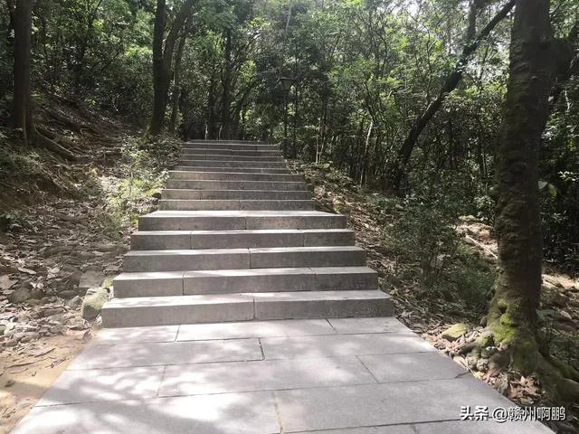 深圳凤凰山好玩吗?