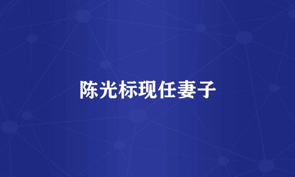 陈光标现任妻子
