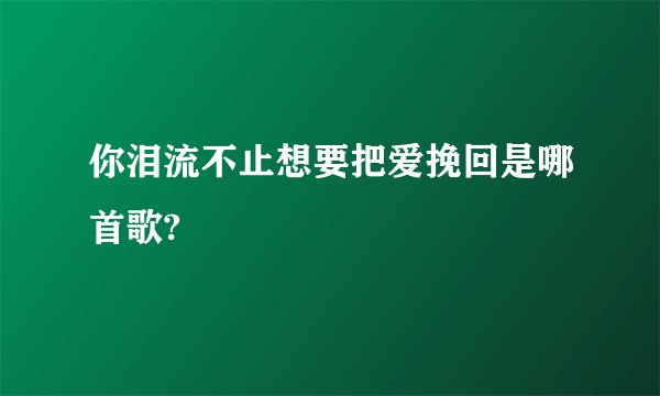 你泪流不止想要把爱挽回是哪首歌?