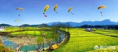 近几年休闲农业发展迅速，景观如何规划设计？