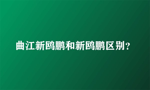 曲江新鸥鹏和新鸥鹏区别？