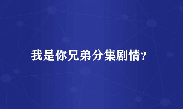 我是你兄弟分集剧情?