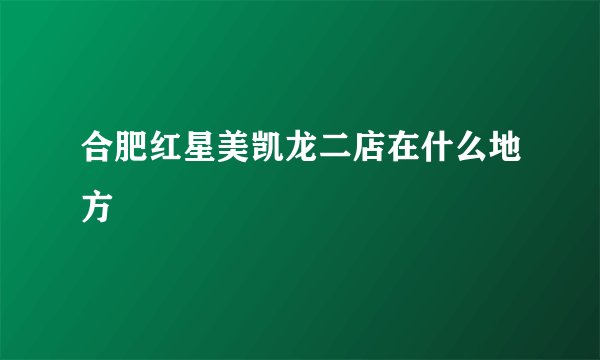 合肥红星美凯龙二店在什么地方