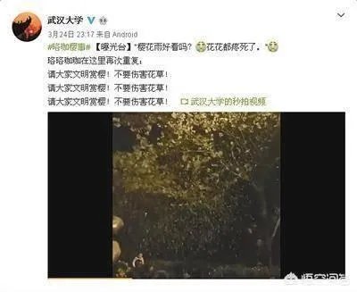 男子在武大疯狂摇晃樱花树制造樱花雨,学生发帖请求放过樱花树,你怎么看?