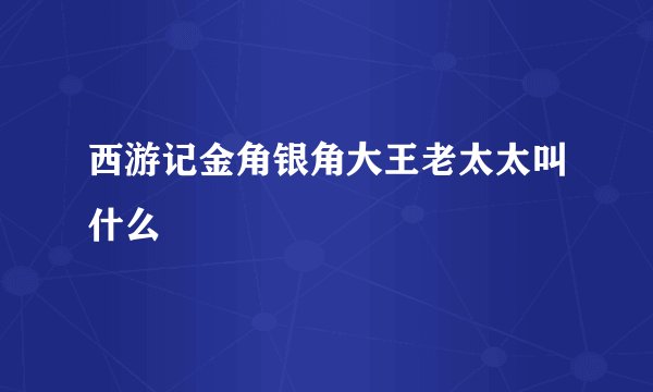 西游记金角银角大王老太太叫什么