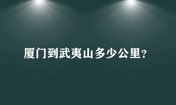厦门到武夷山多少公里？