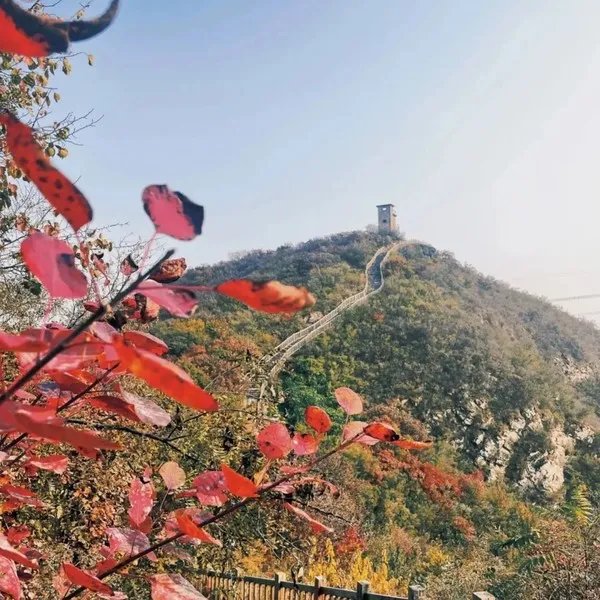 五一去哪玩?北京这7个地方景美、人少、好出片!