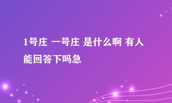 1号庄 一号庄 是什么啊 有人能回答下吗急