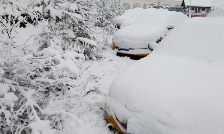 漠河降雪量已达入秋最大级别,未来几天还会持续降雪吗?