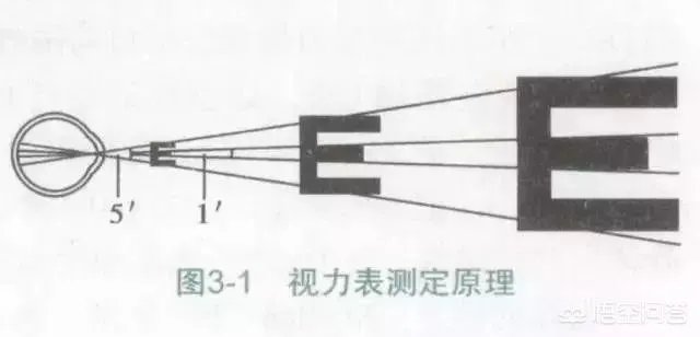 为什么视力表要用E来测试力呢？为什么不用其他字母或符号呢？