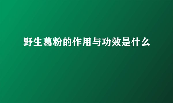 野生葛粉的作用与功效是什么