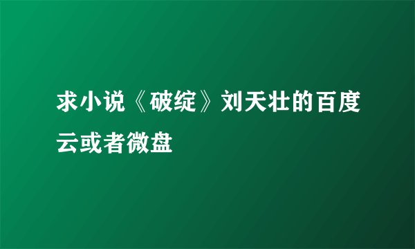 求小说《破绽》刘天壮的百度云或者微盘