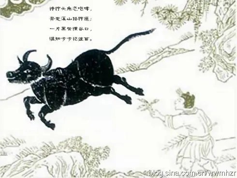 牧牛图的南怀瑾