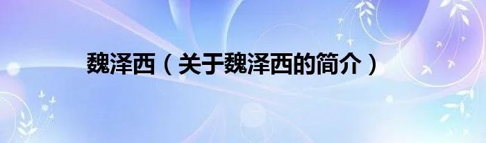 魏泽西（关于魏泽西的简介）