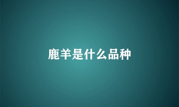 鹿羊是什么品种