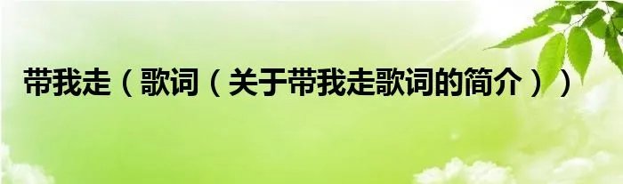 带我走（歌词（关于带我走歌词的简介））