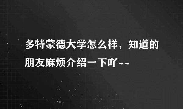 多特蒙德大学怎么样，知道的朋友麻烦介绍一下吖~~