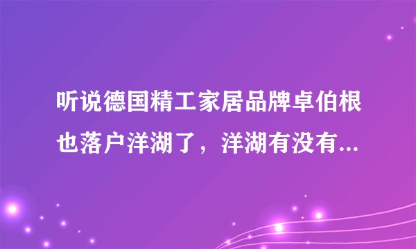 听说德国精工家居品牌卓伯根也落户洋湖了，洋湖有没有什么高端一点的楼盘么？