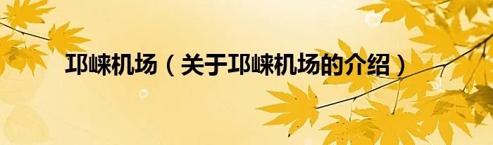 邛崃机场（关于邛崃机场的介绍）