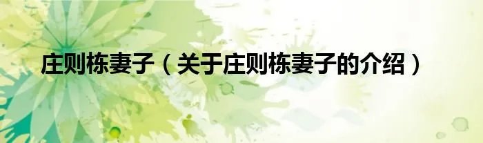 庄则栋妻子（关于庄则栋妻子的介绍）