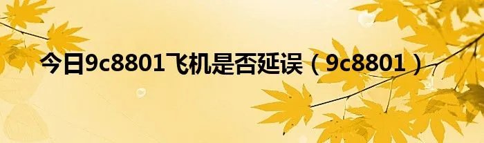 今日9c8801飞机是否延误（9c8801）