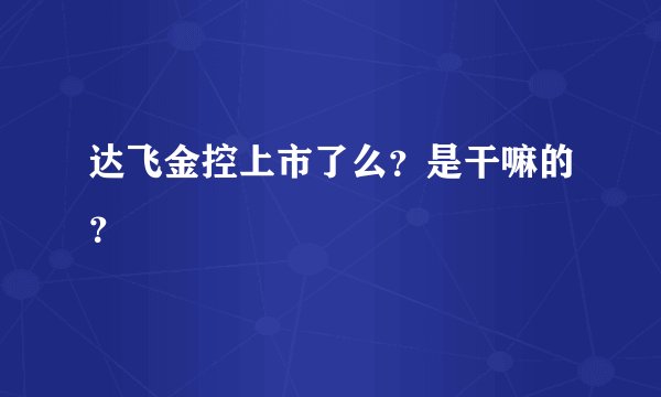 达飞金控上市了么？是干嘛的？
