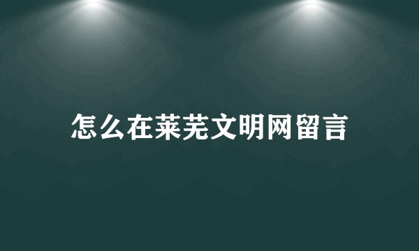 怎么在莱芜文明网留言