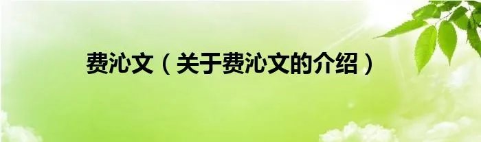 费沁文（关于费沁文的介绍）