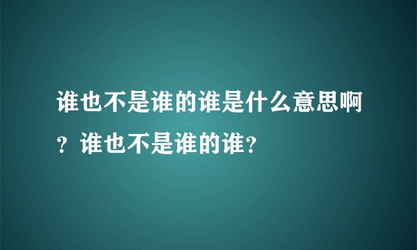谁也不是谁的谁是什么意思啊？谁也不是谁的谁？