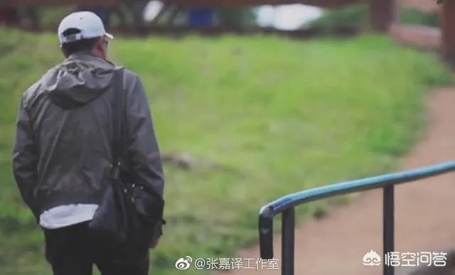 看待张嘉译的回应你有没有被感动?