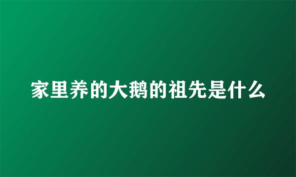 家里养的大鹅的祖先是什么