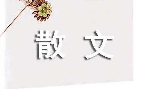 散文随笔